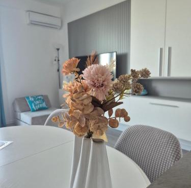 Apartament Mirela in Baile Felix