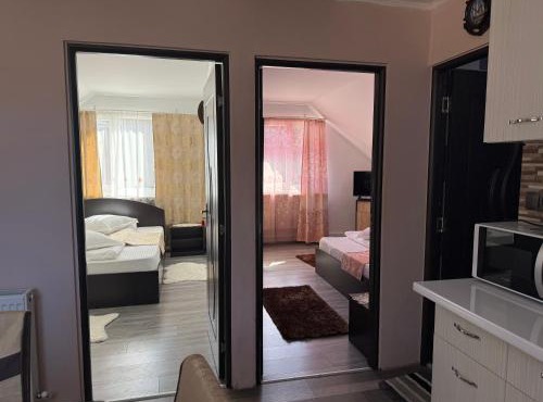 Apartament Ral in Arieseni