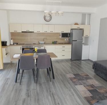 Apartament regim hotelier Băile Felix in Baile Felix