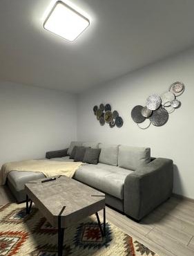 Apartamentul cu vibe de Blues - La un Do Distanta de festival in Brezoi