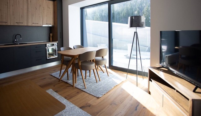 Aparthotel Phoenix - One Bedroom Apartment with Terrace XL 302 in Bjelasnica