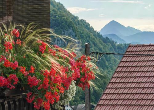 Apartma Bela in Bled