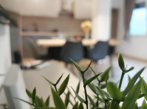 Apartma Bella Nadiža in Kobarid