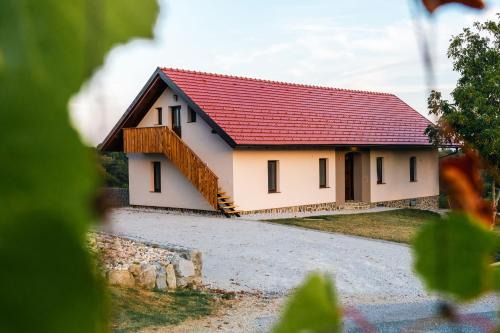 Apartma EVA in Ormoz