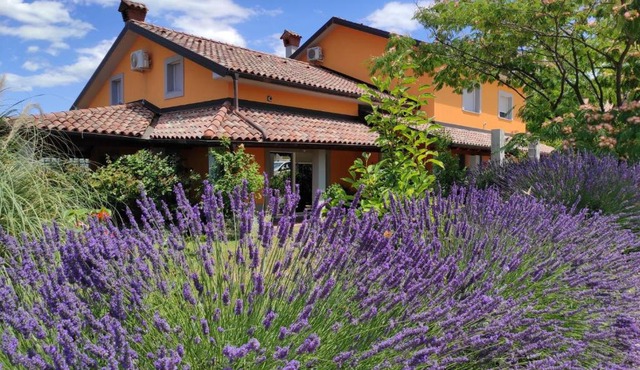 Apartma Lavanda in Koper