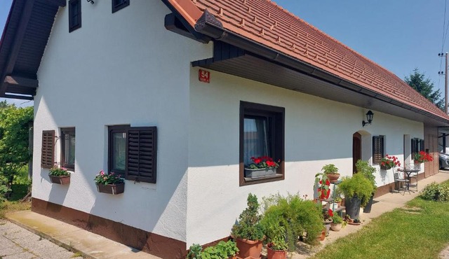 Apartma Vida in Videm