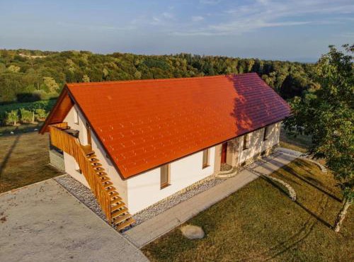 APARTMA Viktor in Ormoz