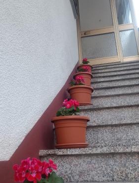 Apartma Zora in Bovec
