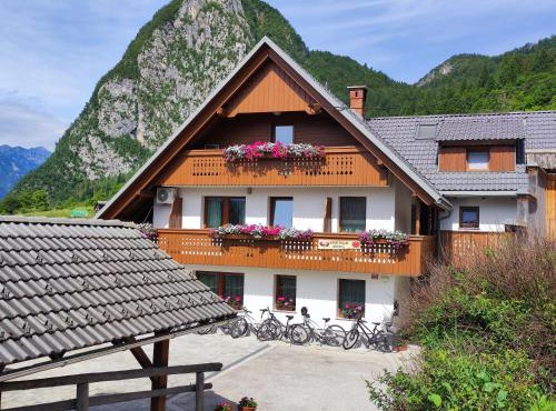 Apartmaji Mojca in Bohinj