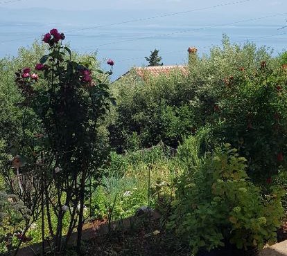 APARTMAN ANA
