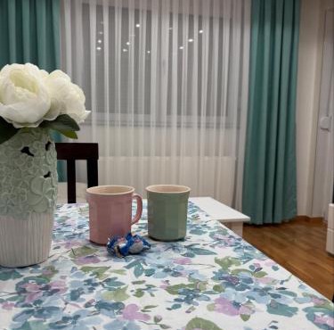Apartman Andjela Doboj in Doboj