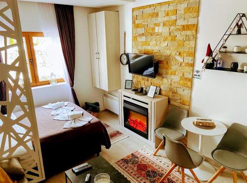 Apartman Art- bivsi in Raska