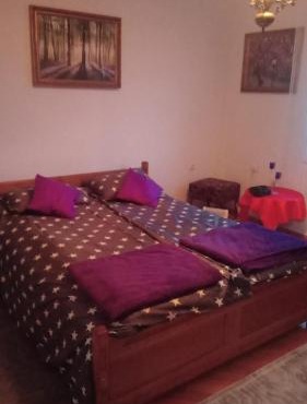 Apartman Brzak