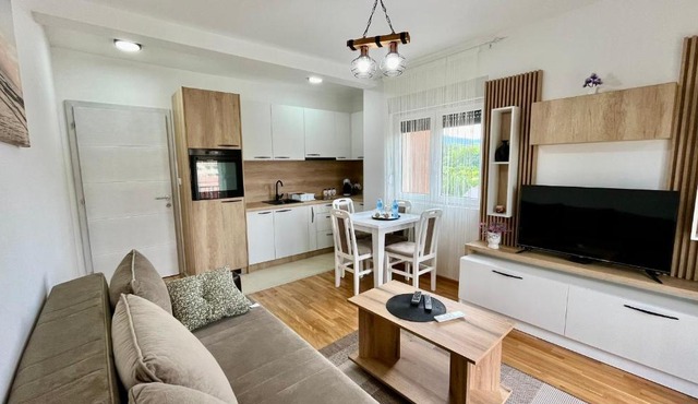 Apartman Gorsky in Vrnjačka Banja