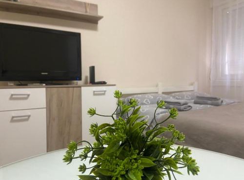 Apartman Lea in Paraćin