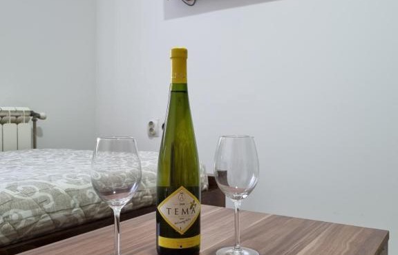 Apartman Leo in Niš