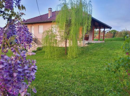 Apartman MatiNik Banja Vrujci in Mionica