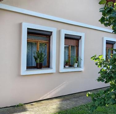 Apartman Miodrag in Backi Monostor