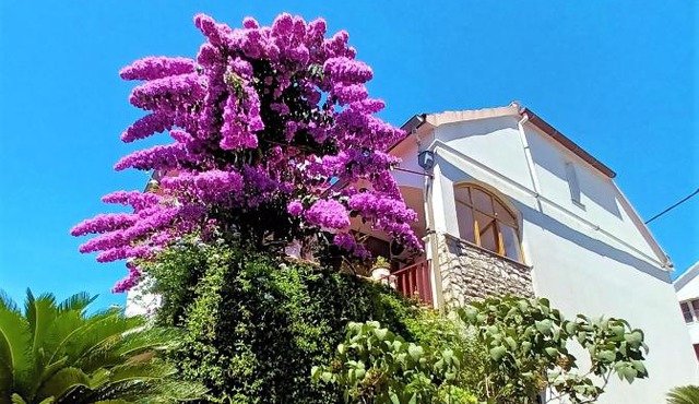 Apartman Nada