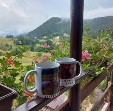 Apartman Skender 3* Ravna Gora in Ravna Gora