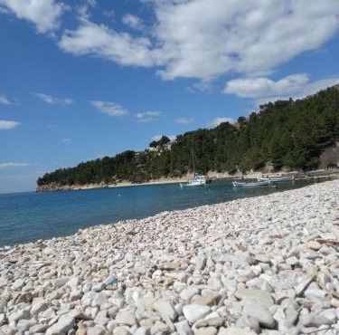 Apartmani Bepo