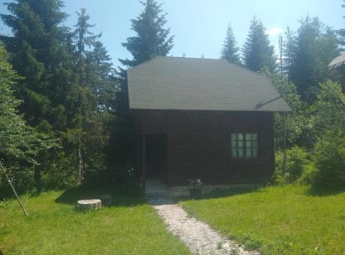 Apartmani Gnezdo in Brdo