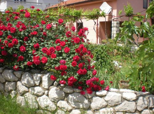 Apartmani Mediteran in Vrh