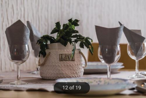 Apartmans Nadin in Umag