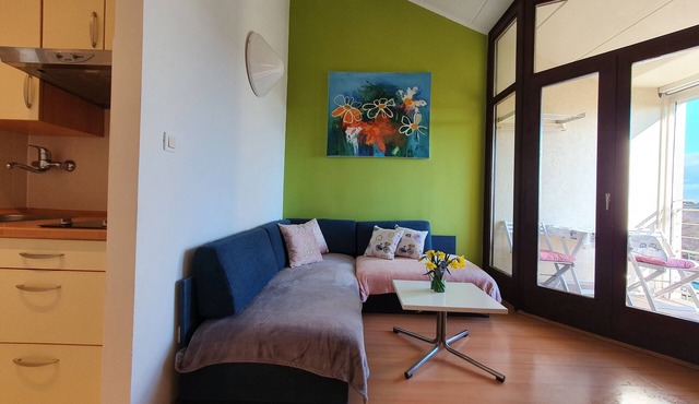 Apartment 300m from the beach, sea view, air conditioning, parking in Novigrad