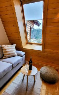 Apartment 533 in Aparthotel Vucko Jahorina - Private host in Jahorina