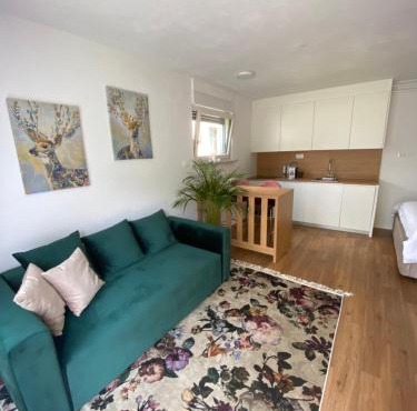 Apartment Bandaron in Kobarid