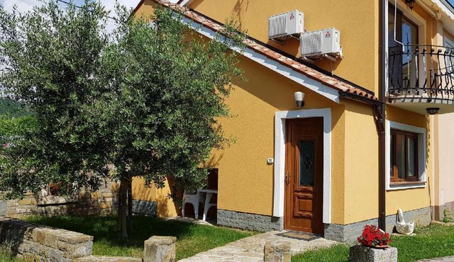 Apartment between the vineyard in Ankaran