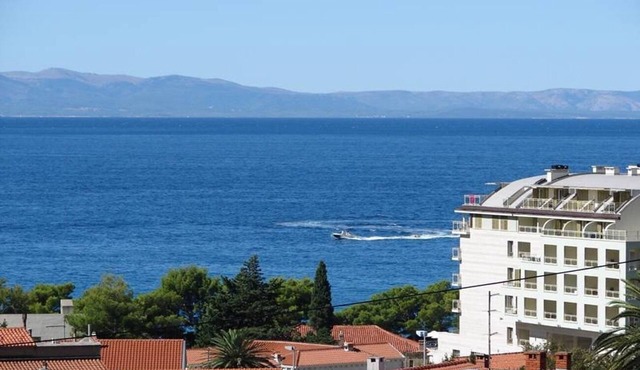 Apartment Bor - with great view: SA2(2)Levant - Makarska, Riviera Makarska, Croatia