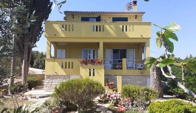 Apartment Branko