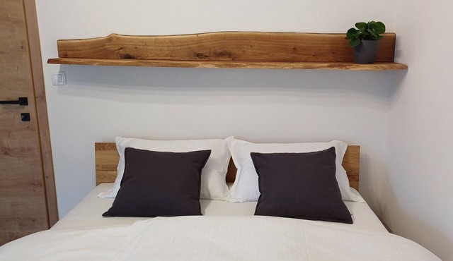 Apartment HANI in Kranjska Gra