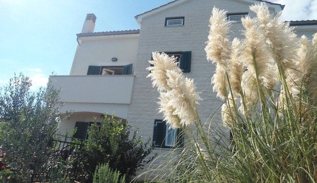 Apartment Azur - 10 m from sea: A1(4) - Ilovik (Island Ilovik), Island Losinj, Croatia