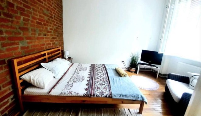 Apartment in historic building - Sleeps 4 in Timisoara