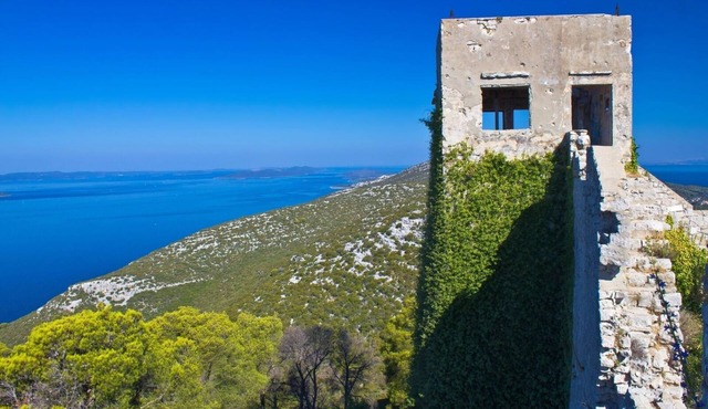 Apartment in Poljana with Seaview, Terrace, Air condition, WIFI (3617-3)