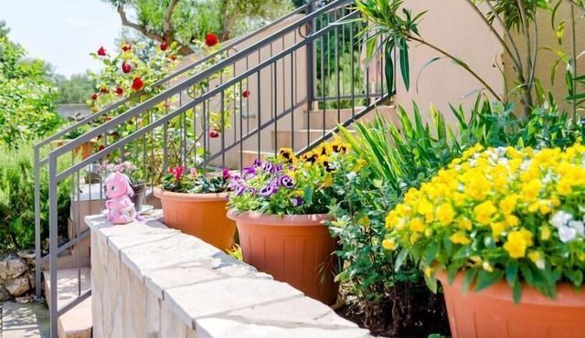 Apartment Lili- One Bedroom Apartment with Terrace (ST) in Splitska