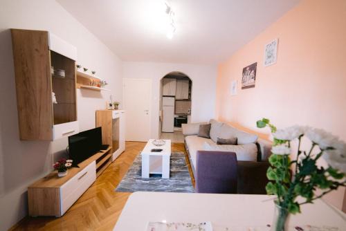 Apartment LIPA in Novi Sad