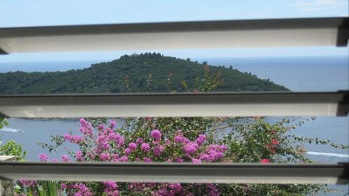 Apartment Lokrum in Dubrovnik