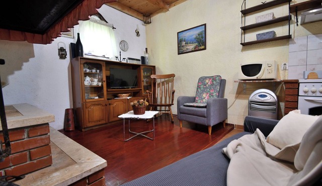 Apartment Lucija (101511-A1) - Zminj