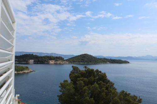 Apartment Marija Mljet 4 in Sobra