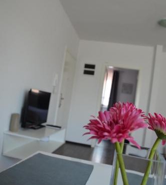 Apartment Meli