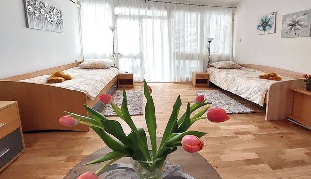 Apartment Oliva