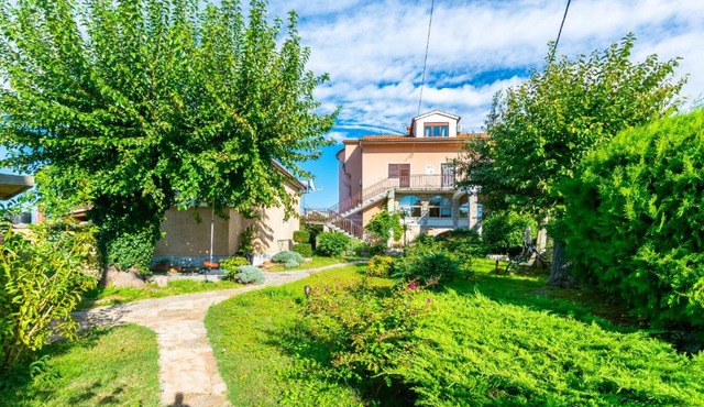 Apartment Petar