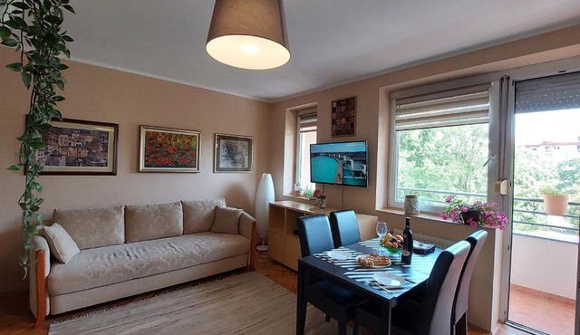 Apartment Rada in Novi Sad