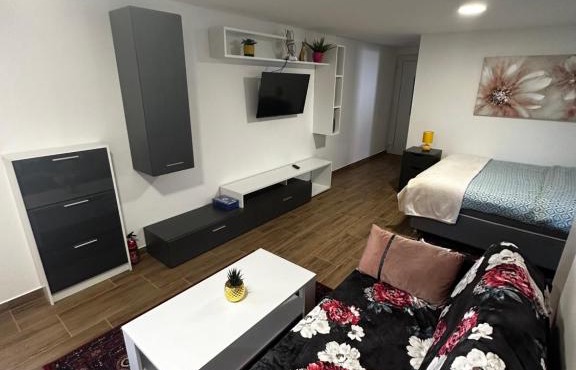 Apartment Radić 1