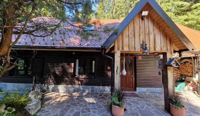 Apartment Rogla Lodge in Zrece