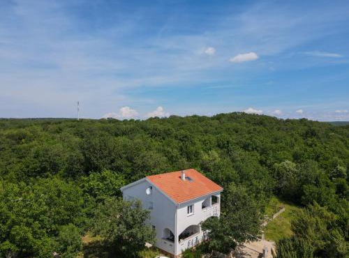 Apartment & Room Danijel